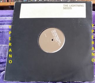 The LIGHTNING SEEDS Life's too Short 12" PROMO. 2  Vinyl, 12". Double 2X 12"s. Check video